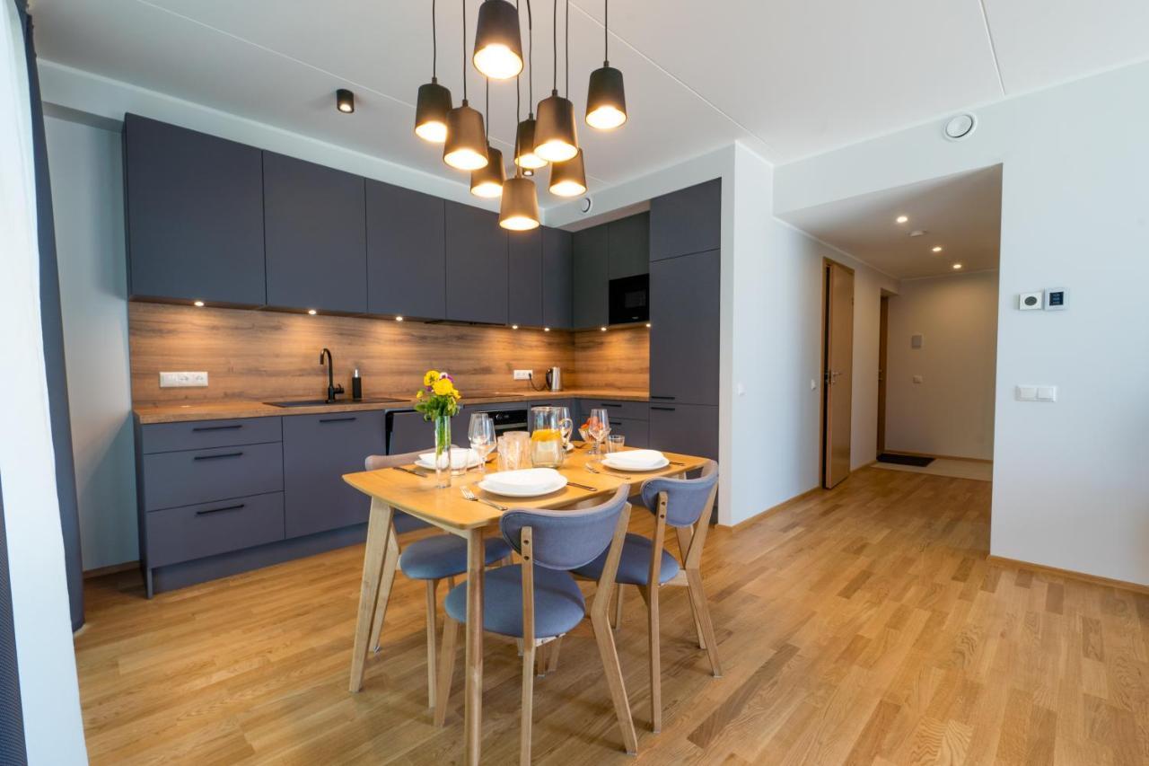 Delta Luxury Apartment With Terrace Tartu Ngoại thất bức ảnh